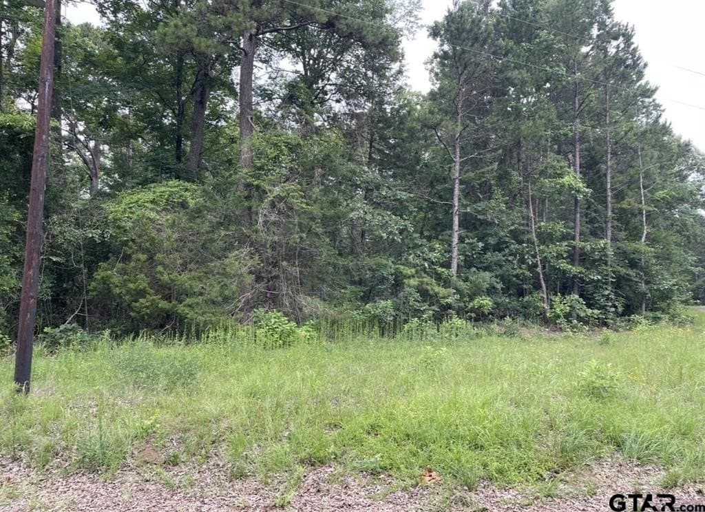 9.94 acres in Cass County - photo 6