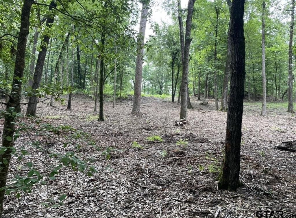 9.94 acres in Cass County - photo 20