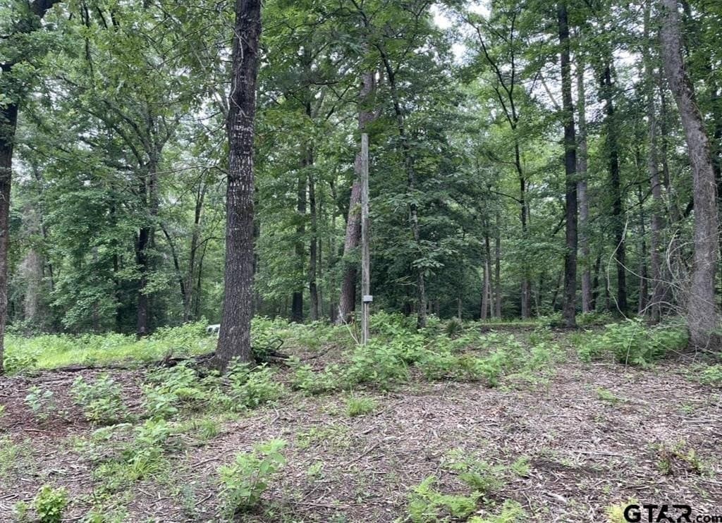 9.94 acres in Cass County - photo 5