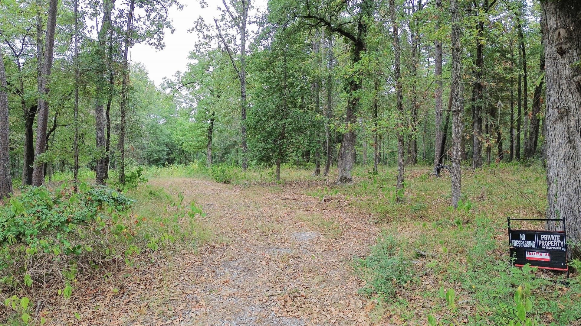 9.94 acres in Cass County - photo 3