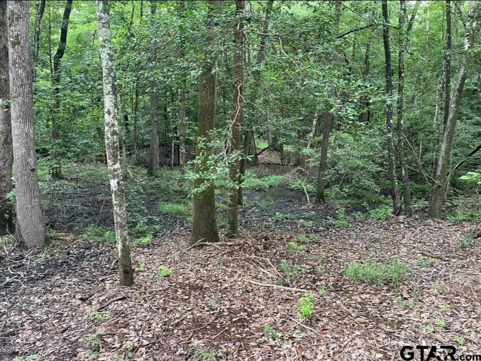 9.94 acres in Cass County - photo 14