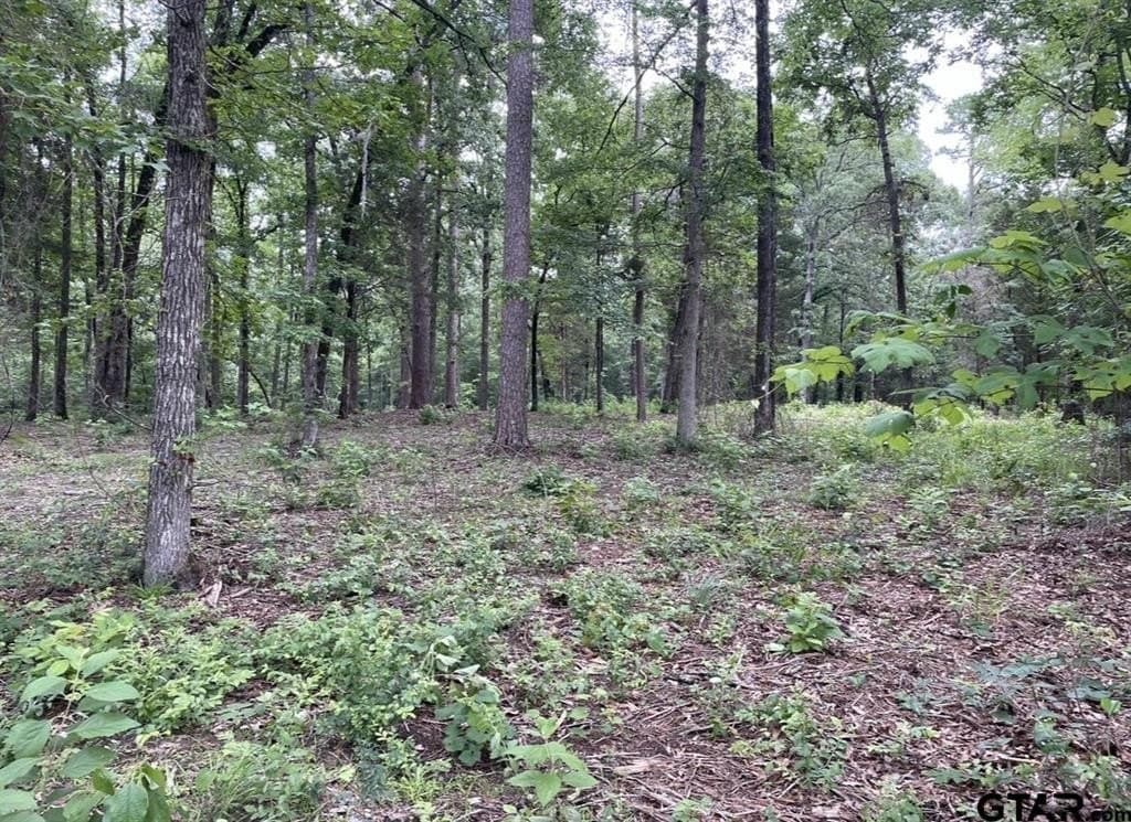 9.94 acres in Cass County - photo 17