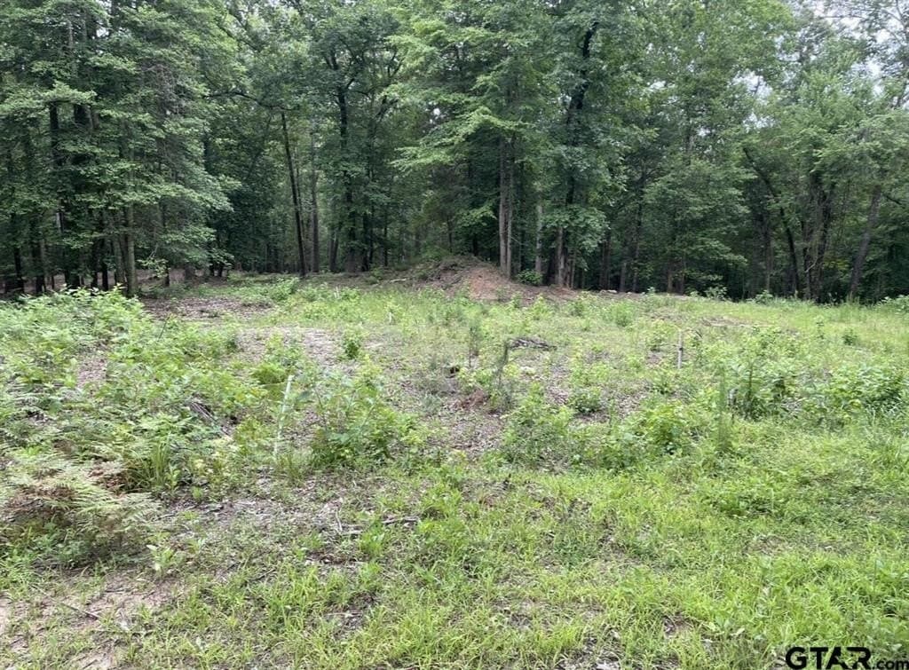 9.94 acres in Cass County - photo 10