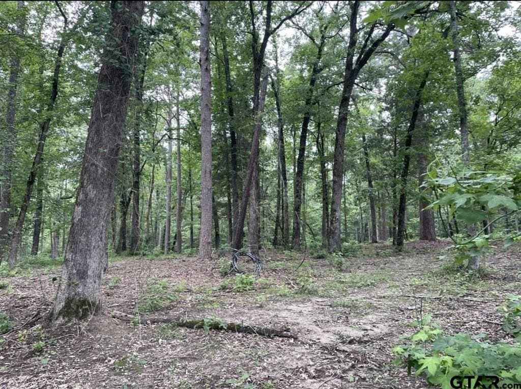 9.94 acres in Cass County - photo 21
