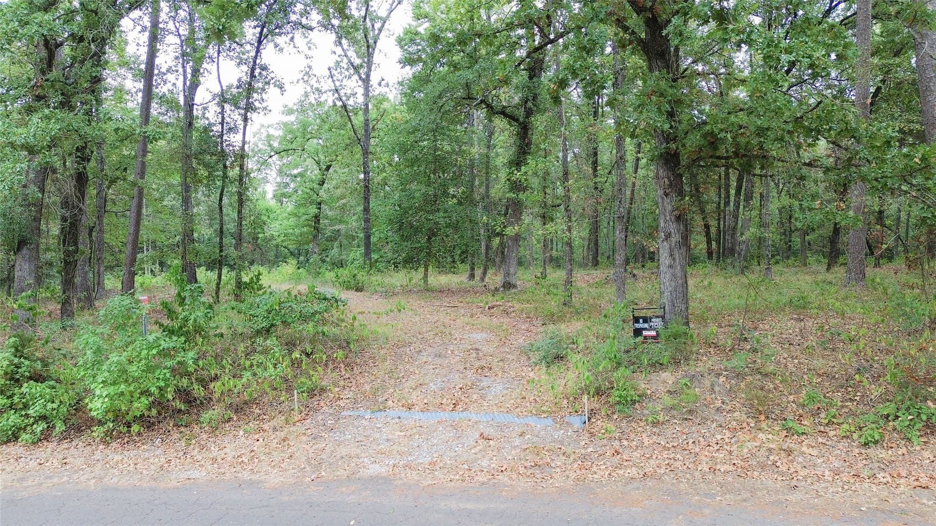 9.94 acres in Cass County - photo 2