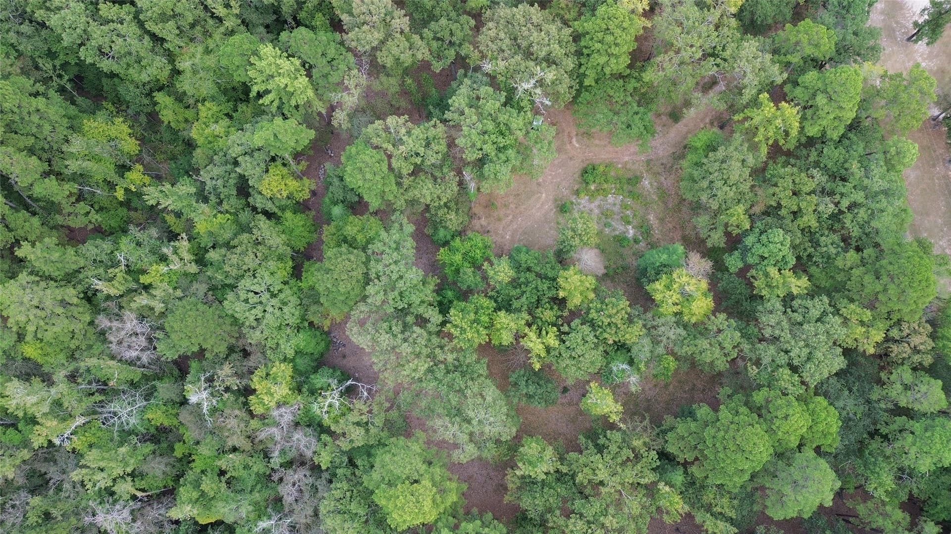 9.94 acres in Cass County - photo 26