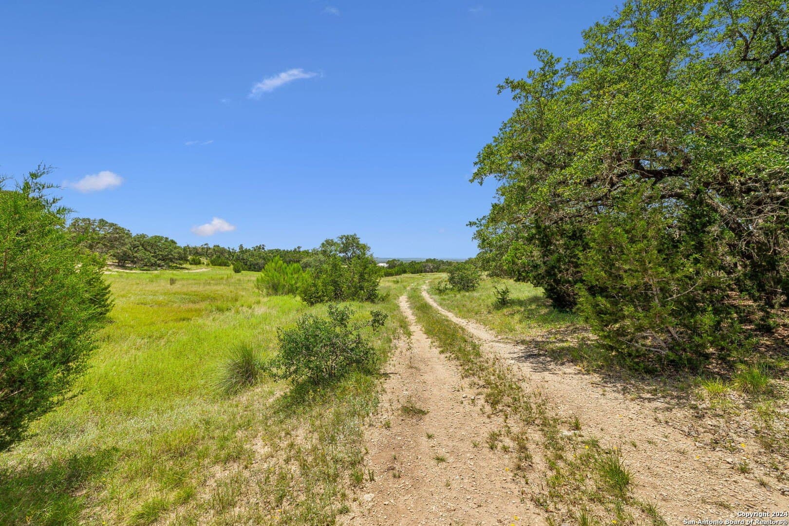 1.02 acres in Comal County - photo 19