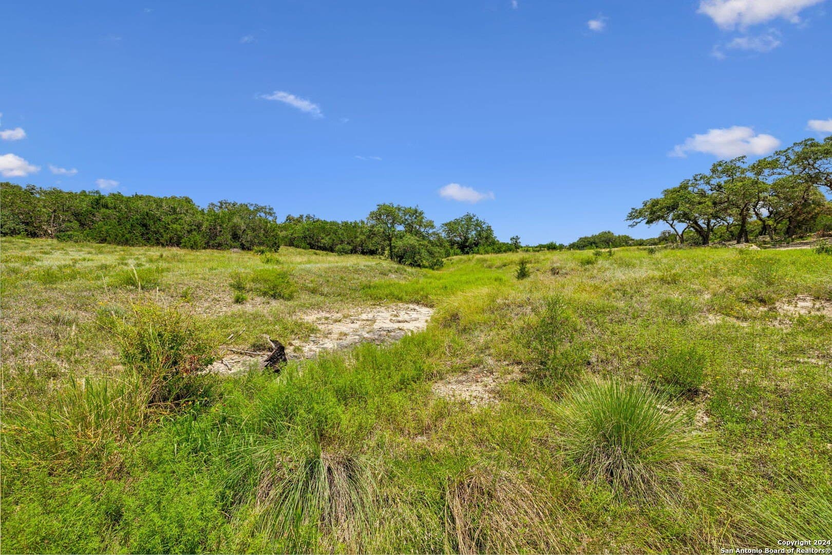 1.02 acres in Comal County - photo 16