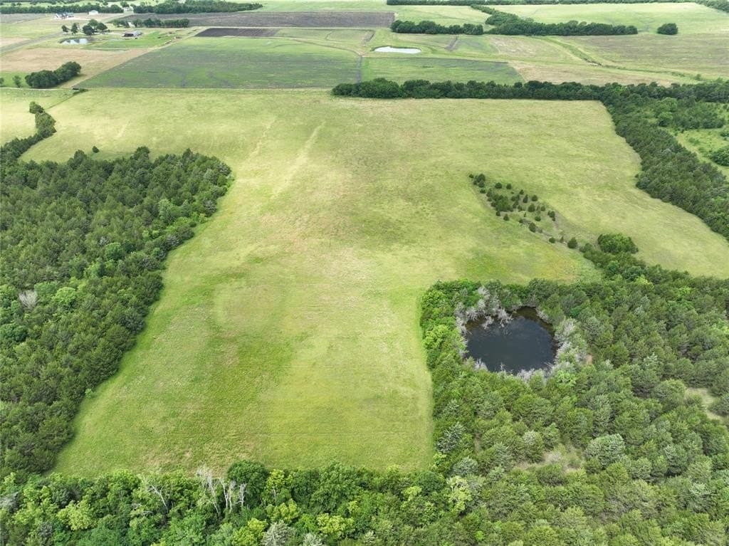 23 acres in Fannin County gallery image 3