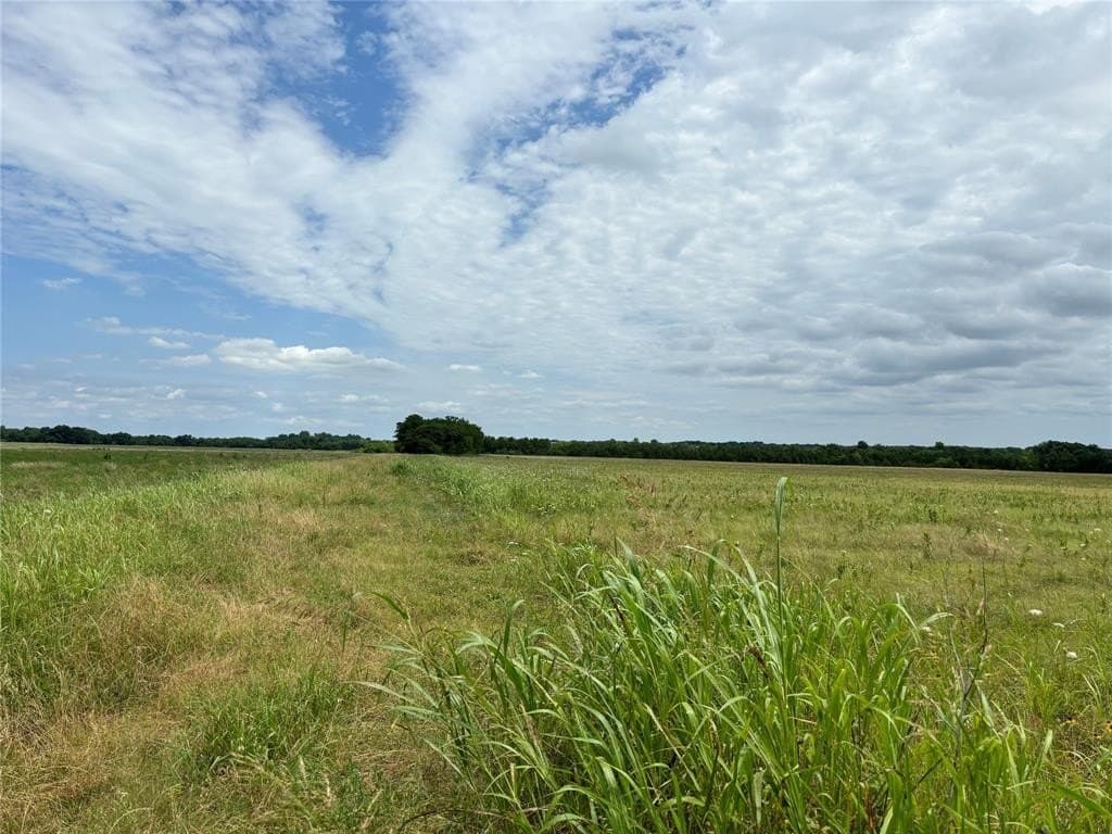 23 acres in Fannin County gallery image 4