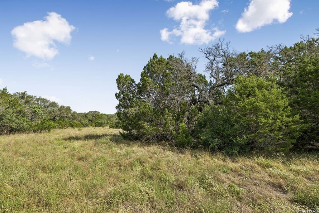 10.03 acres in Kendall County - photo 33
