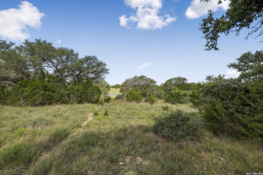 10.03 acres in Kendall County - photo 15