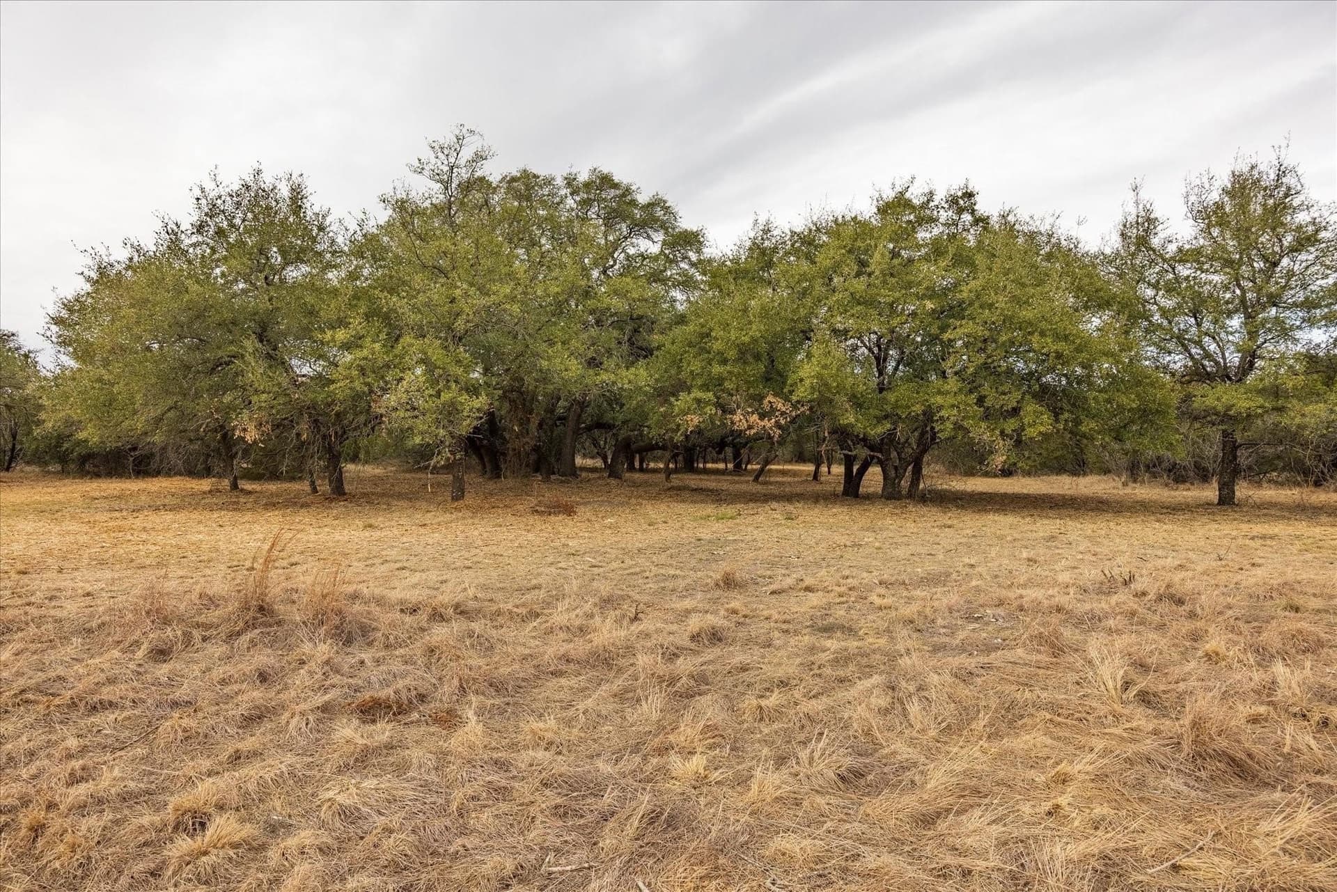 19.47 acres in Somervell County - photo 6