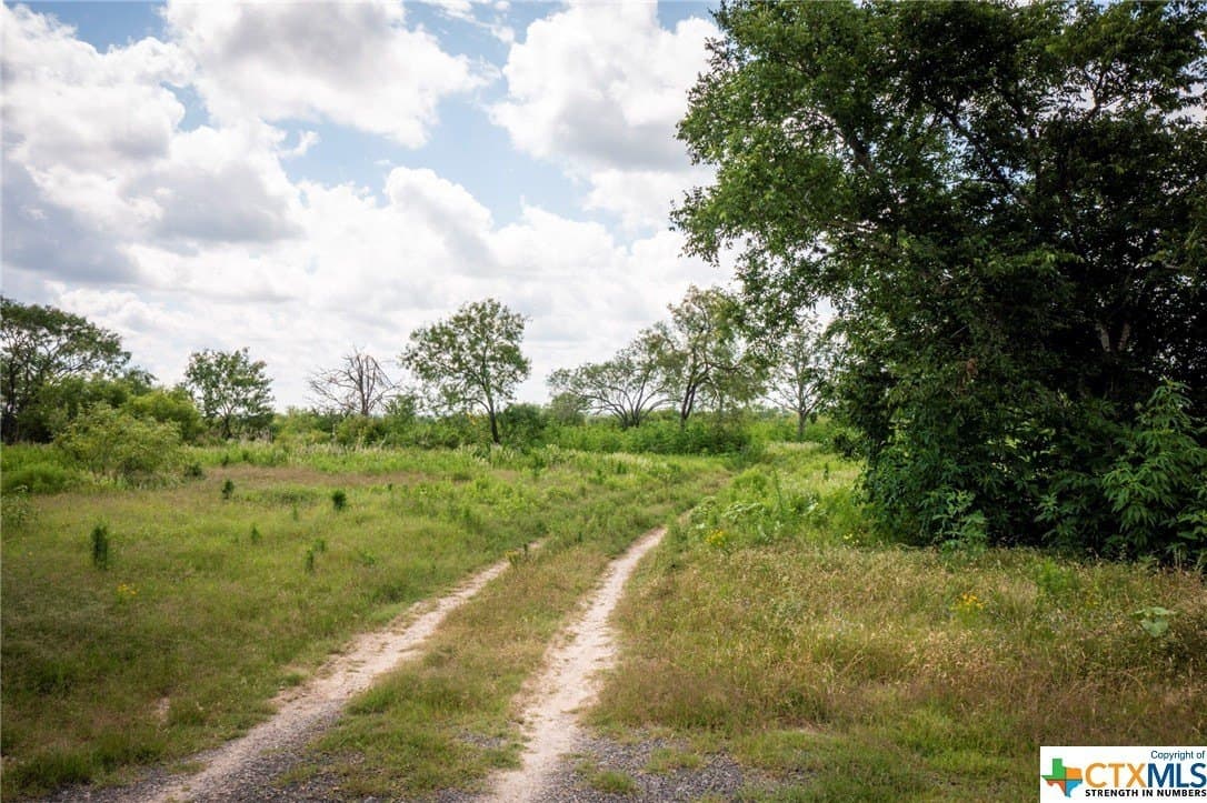 93.79 acres in Guadalupe County - photo 6