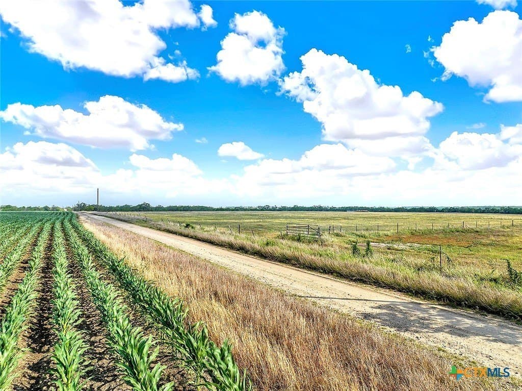 39.3 acres in Wilson County gallery image 3