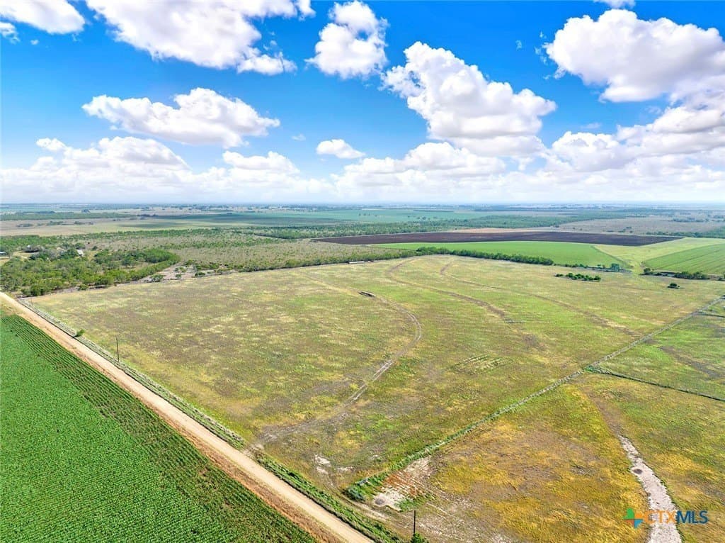 39.3 acres in Wilson County featured view