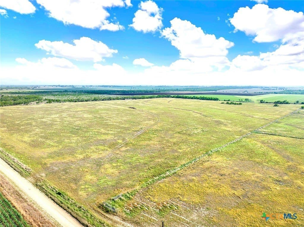 39.3 acres in Wilson County gallery image 4