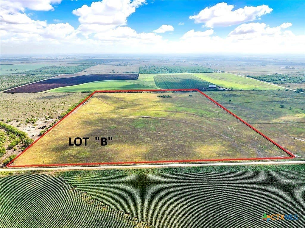 39.3 acres in Wilson County gallery image 2