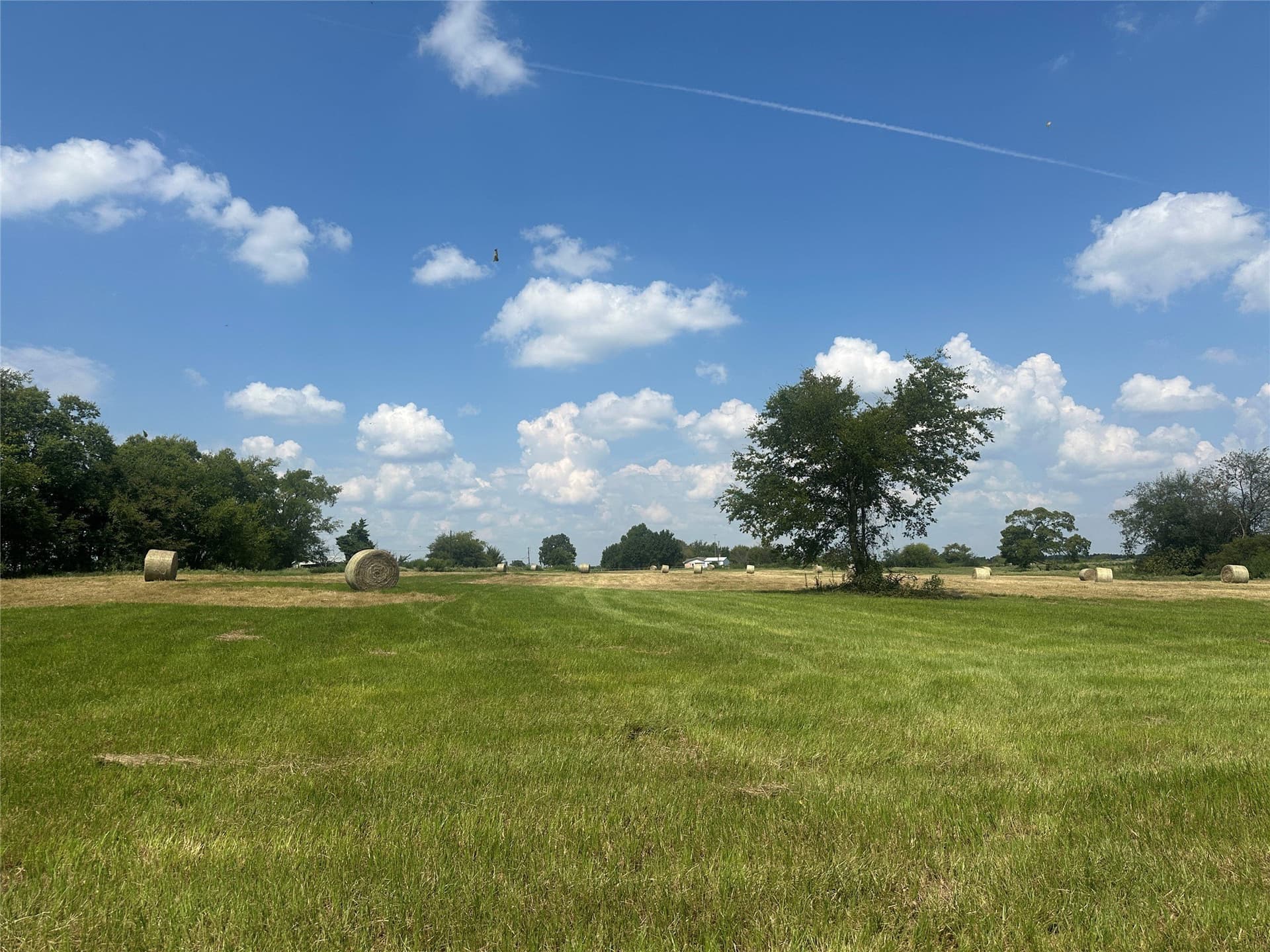 15.11 acres in Hopkins County - photo 15
