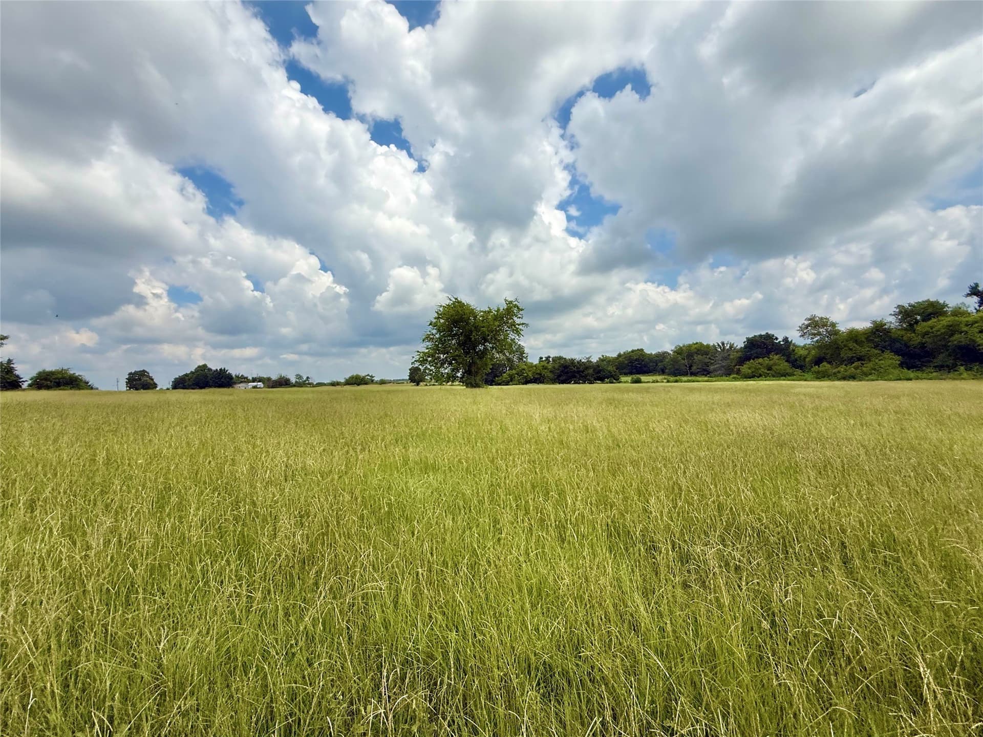 15.11 acres in Hopkins County featured view