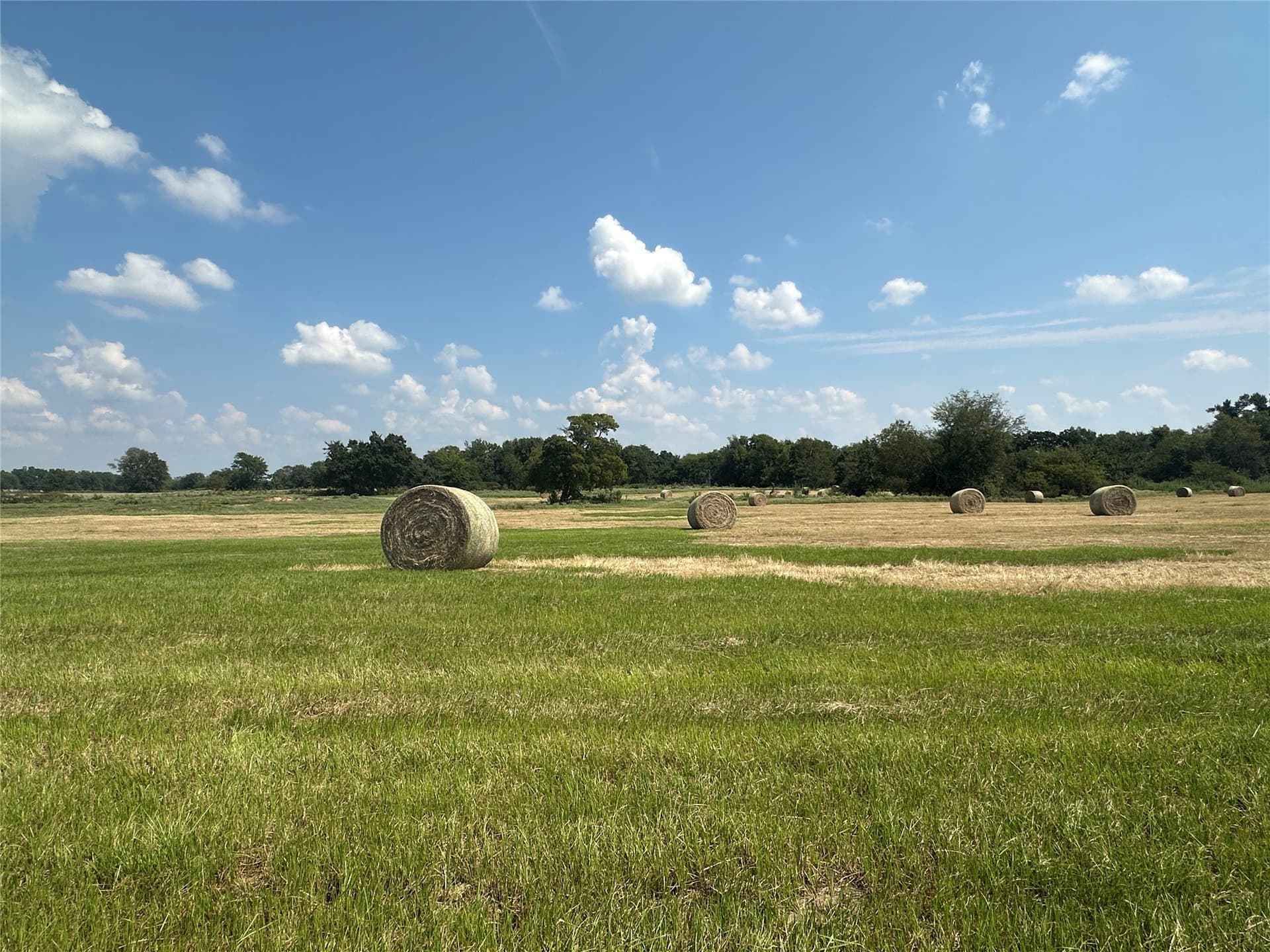 15.11 acres in Hopkins County - photo 20