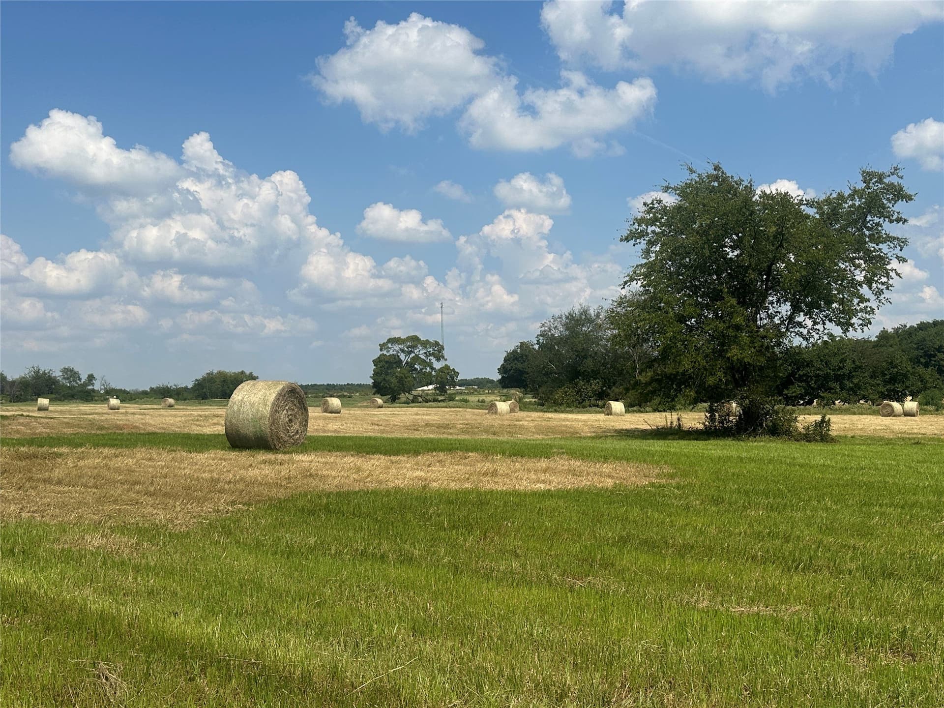 15.11 acres in Hopkins County - photo 17