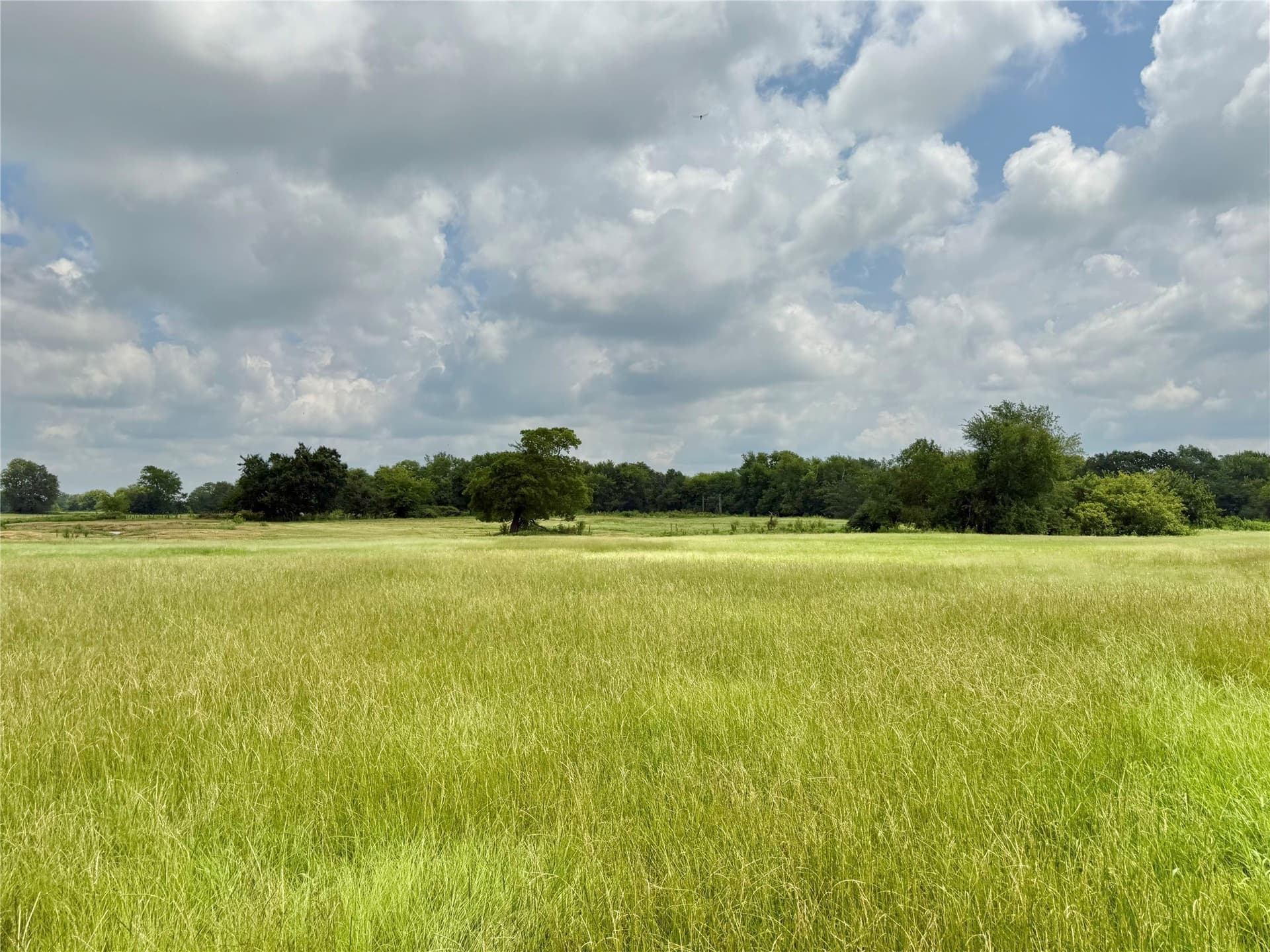 15.11 acres in Hopkins County gallery image 3
