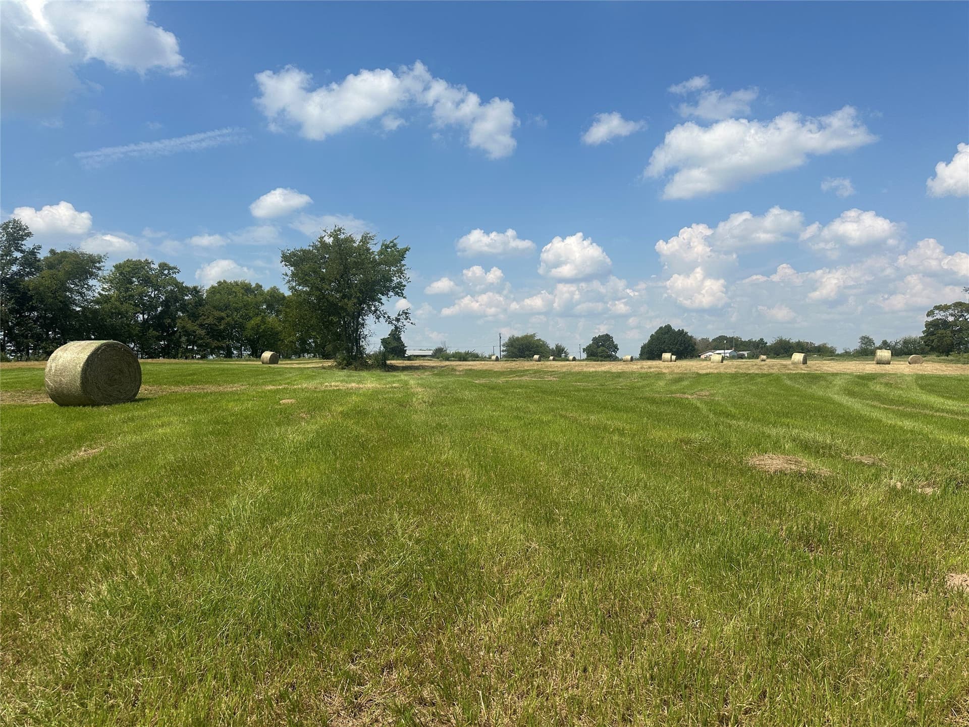 15.11 acres in Hopkins County - photo 13