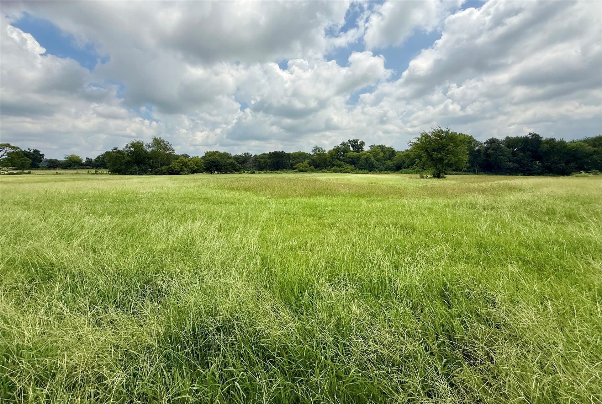 15.11 acres in Hopkins County gallery image 4