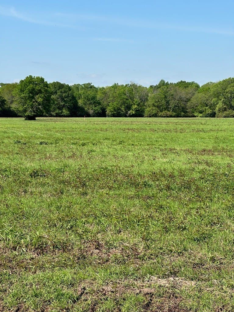 10.01 acres in Texas County - photo 5