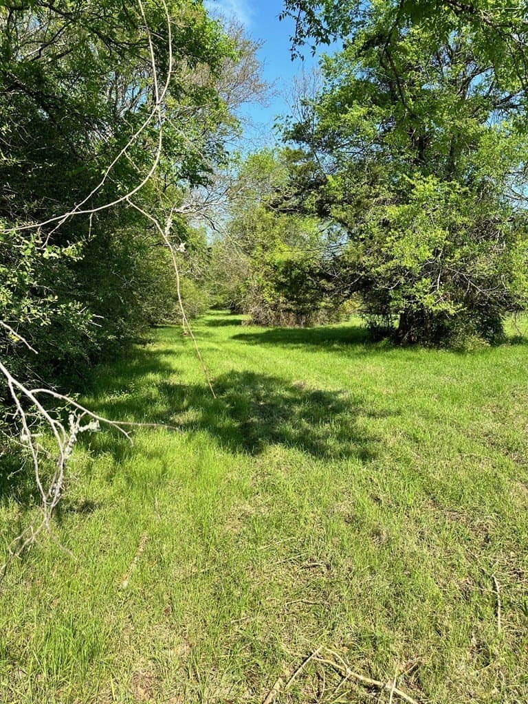 10.01 acres in Texas County - photo 6