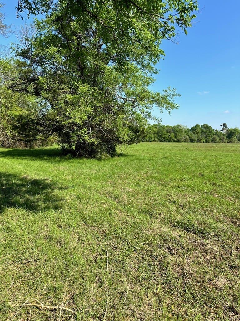 10.01 acres in Texas County - photo 9