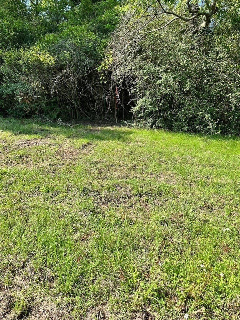 10.01 acres in Texas County - photo 8