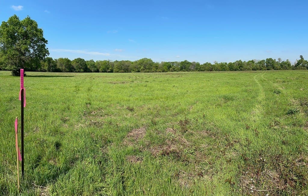 10.01 acres in Texas County - photo 2