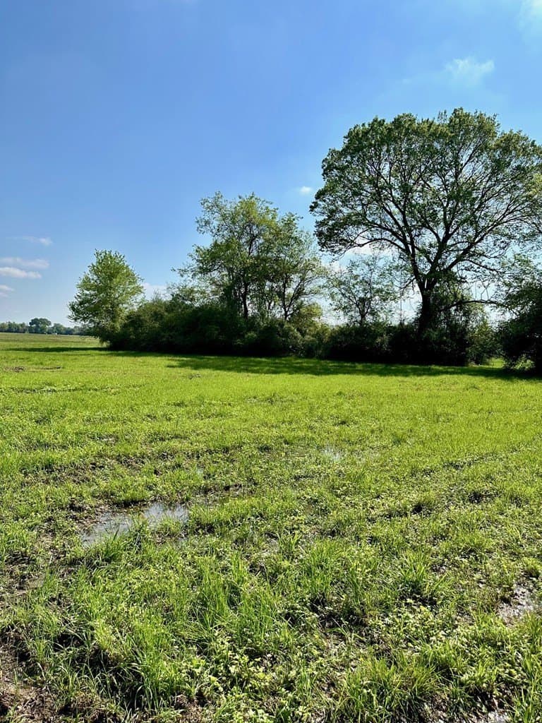 10.01 acres in Texas County - photo 11