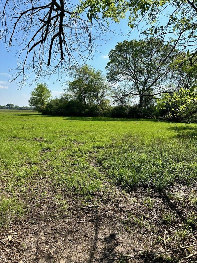 10.01 acres in Texas County - photo 10
