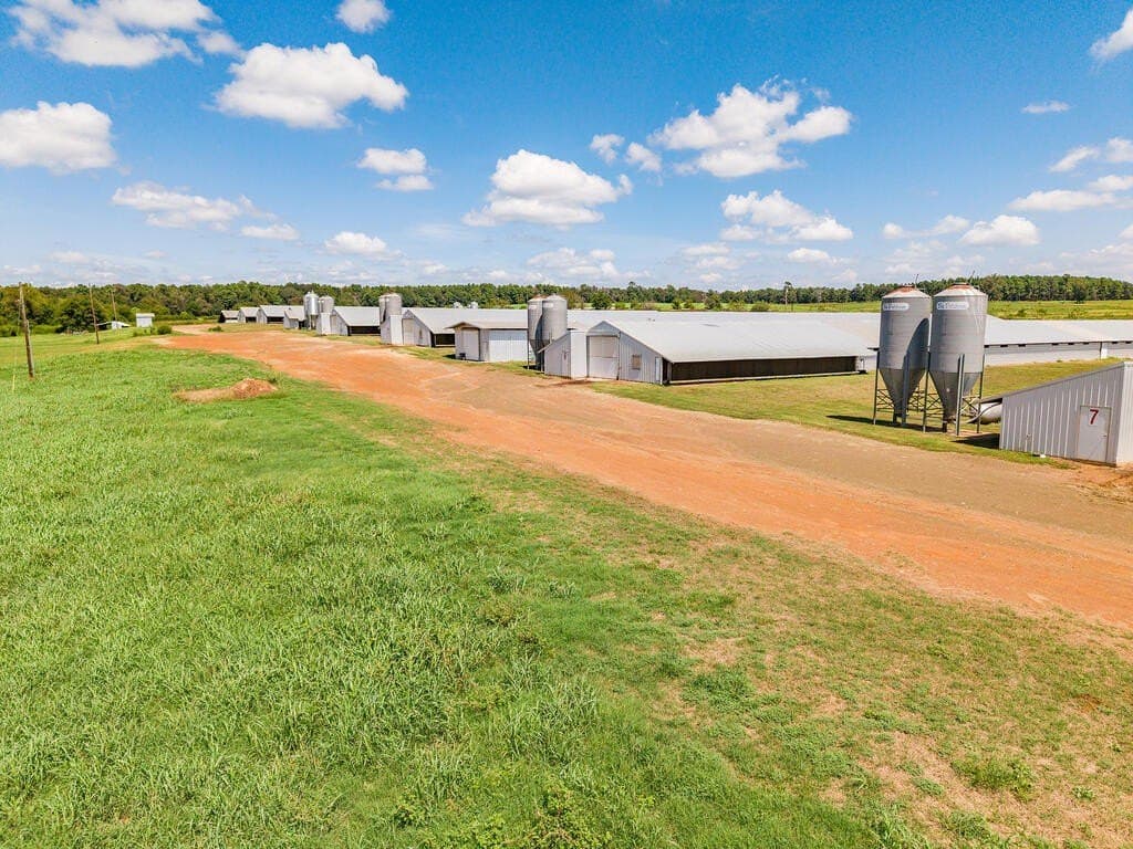 36 acres in Texas County - photo 7
