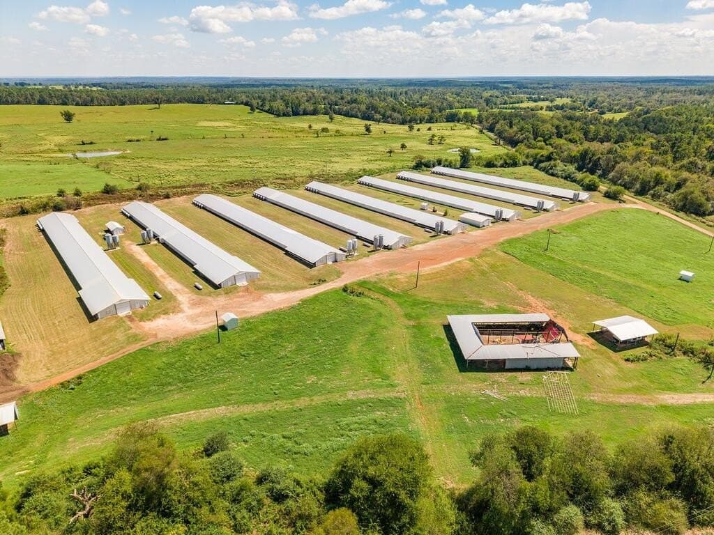 36 acres in Texas County - photo 5