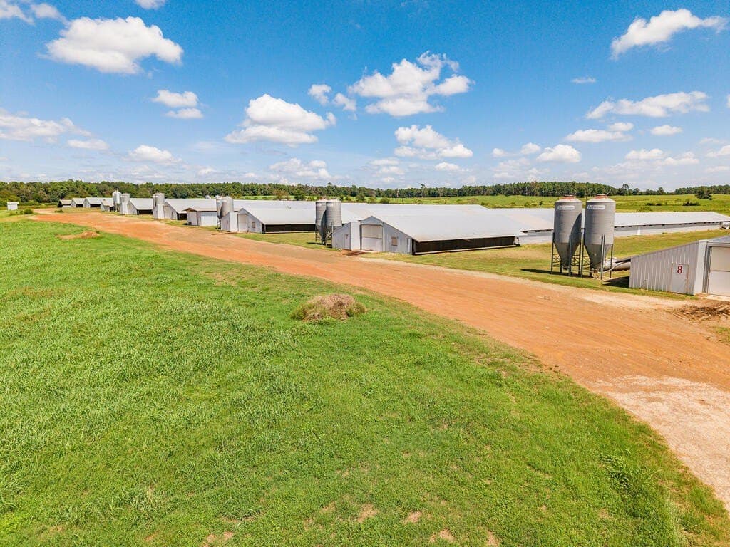 36 acres in Texas County - photo 6