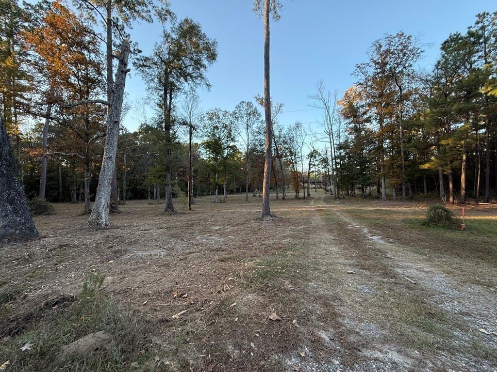 19 acres in Texas County gallery image 4