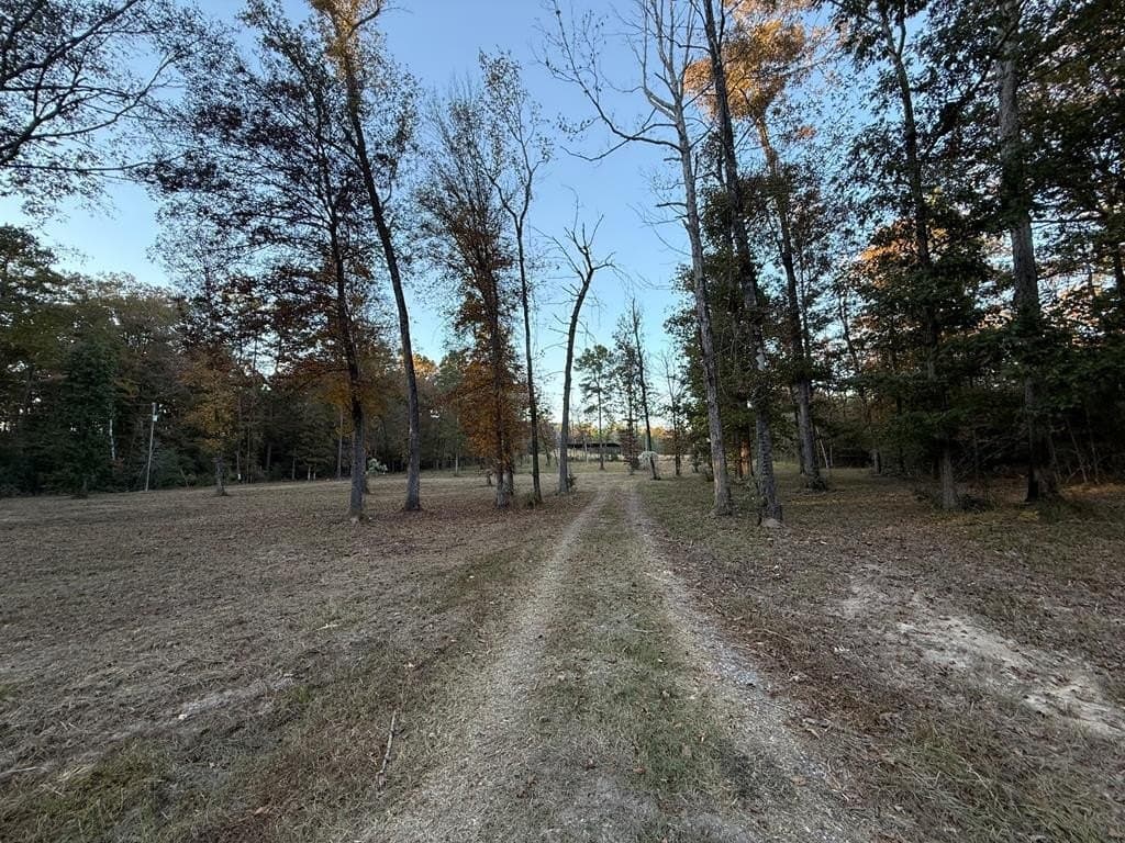 19 acres in Texas County gallery image 2