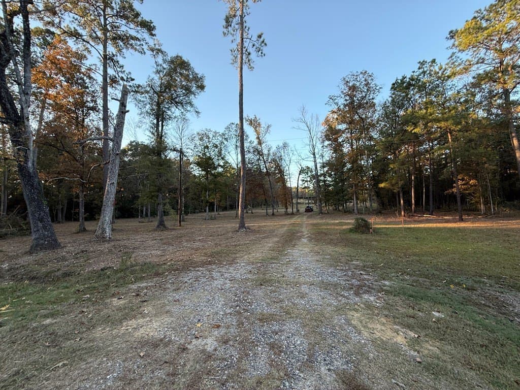 19 acres in Texas County gallery image 3