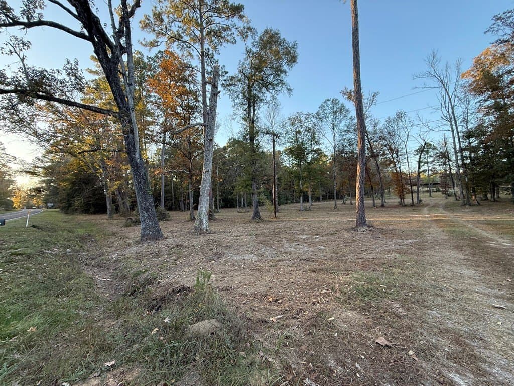 19 acres in Texas County featured view
