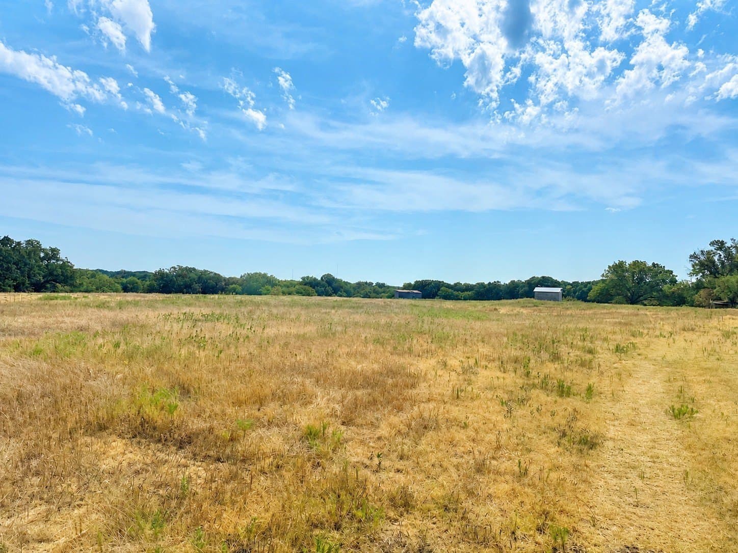 20.96 acres in Montague County - photo 5