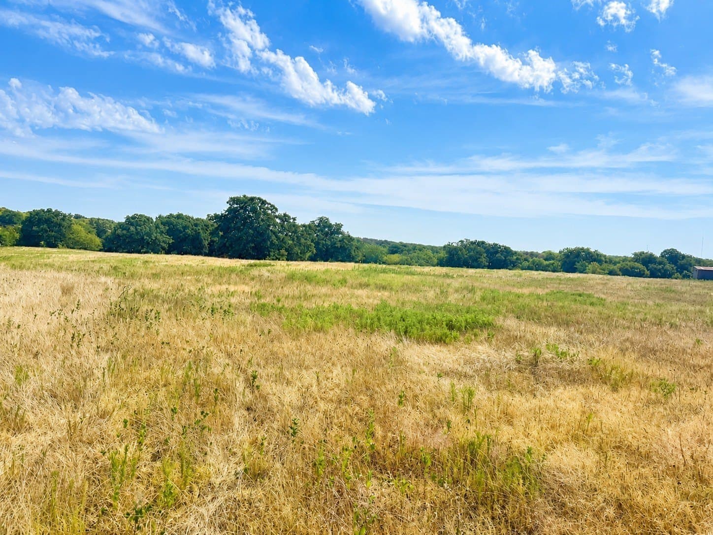 20.96 acres in Montague County - photo 4