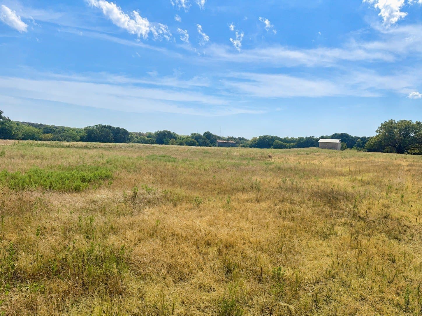 20.96 acres in Montague County - photo 7
