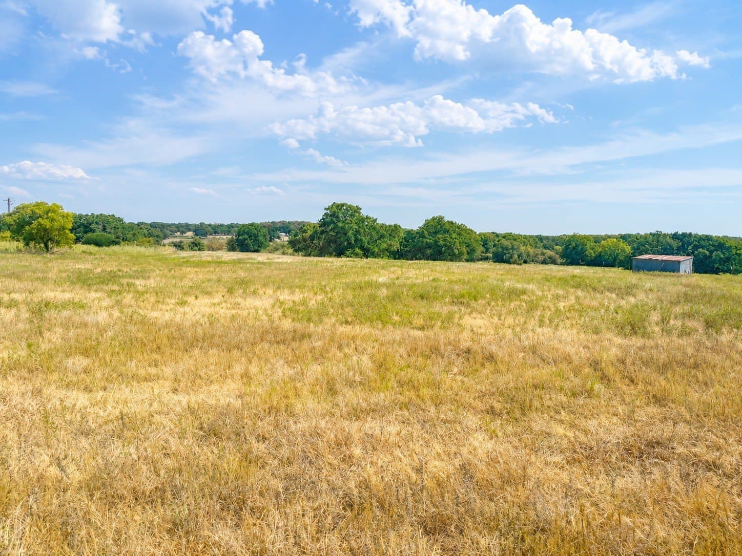 20.96 acres in Montague County - photo 6
