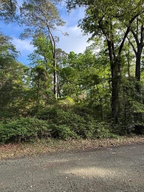 0.28 acres in Texas County featured view