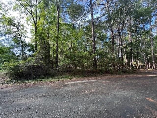 0.28 acres in Texas County gallery image 2