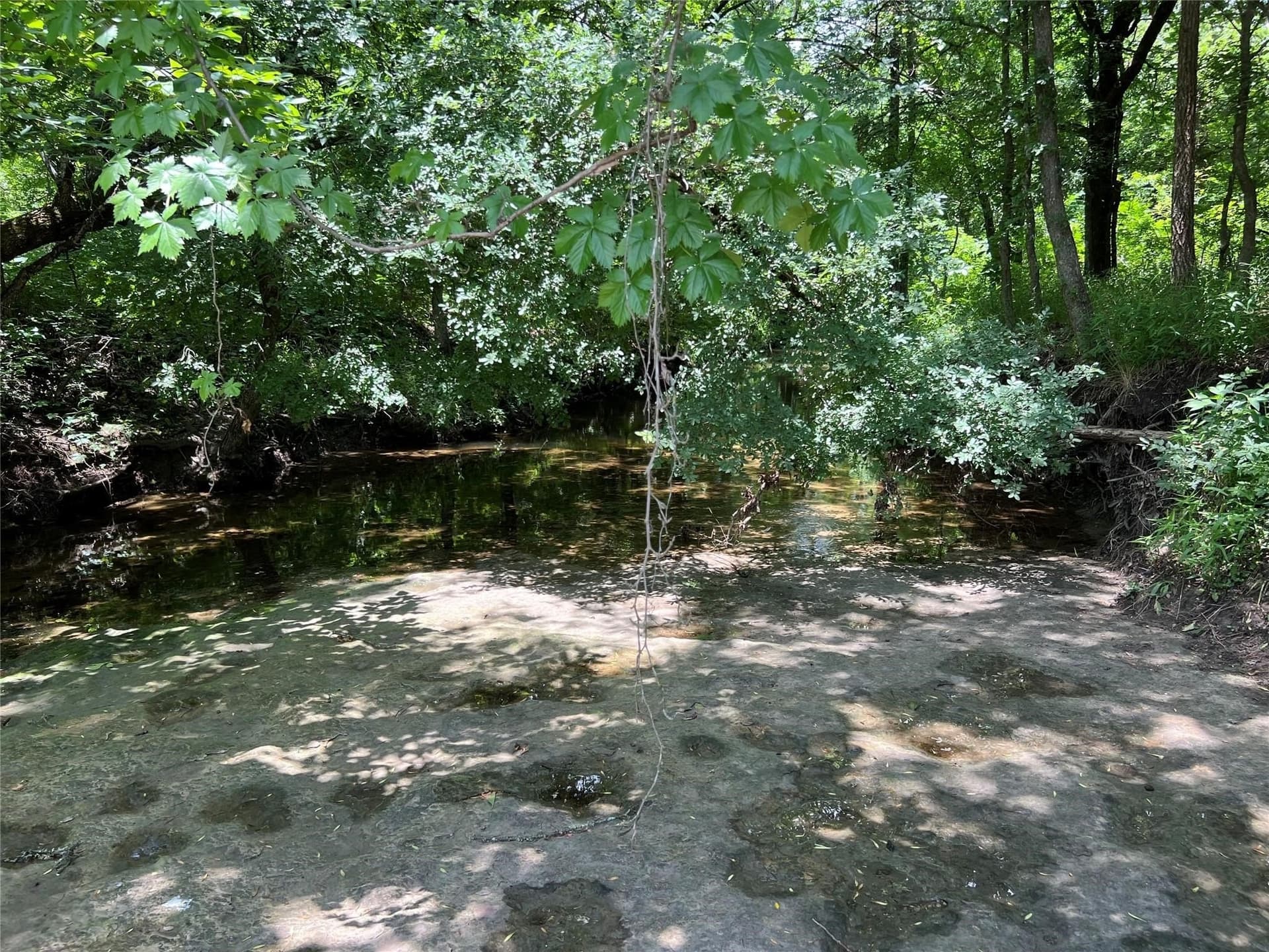 79.04 acres in Fannin County - photo 15